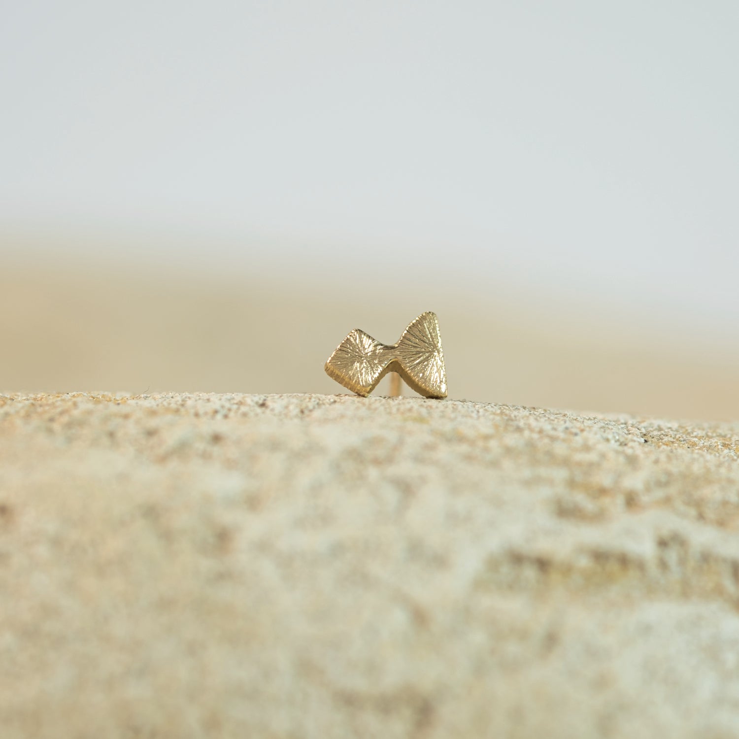 Fish earring with texture